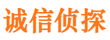 玉龙市私家侦探